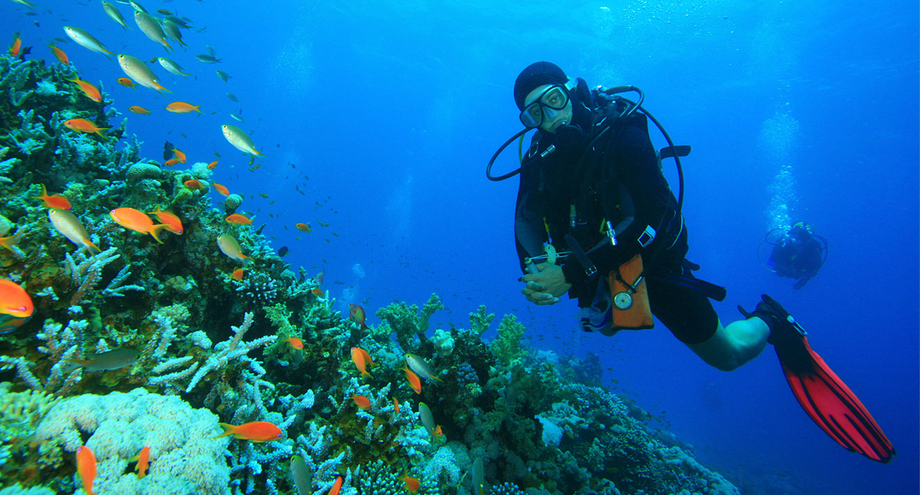 Potápění v Rudém moři